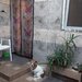 Bragadiru, casa in sistem P+1, cu doua apartamente cu intrari separate.